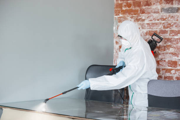 Mold Remediation for Vacation Homes in Inwood, FL