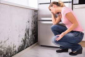 Best Residential Mold Inspection & Testing  in Inwood, FL